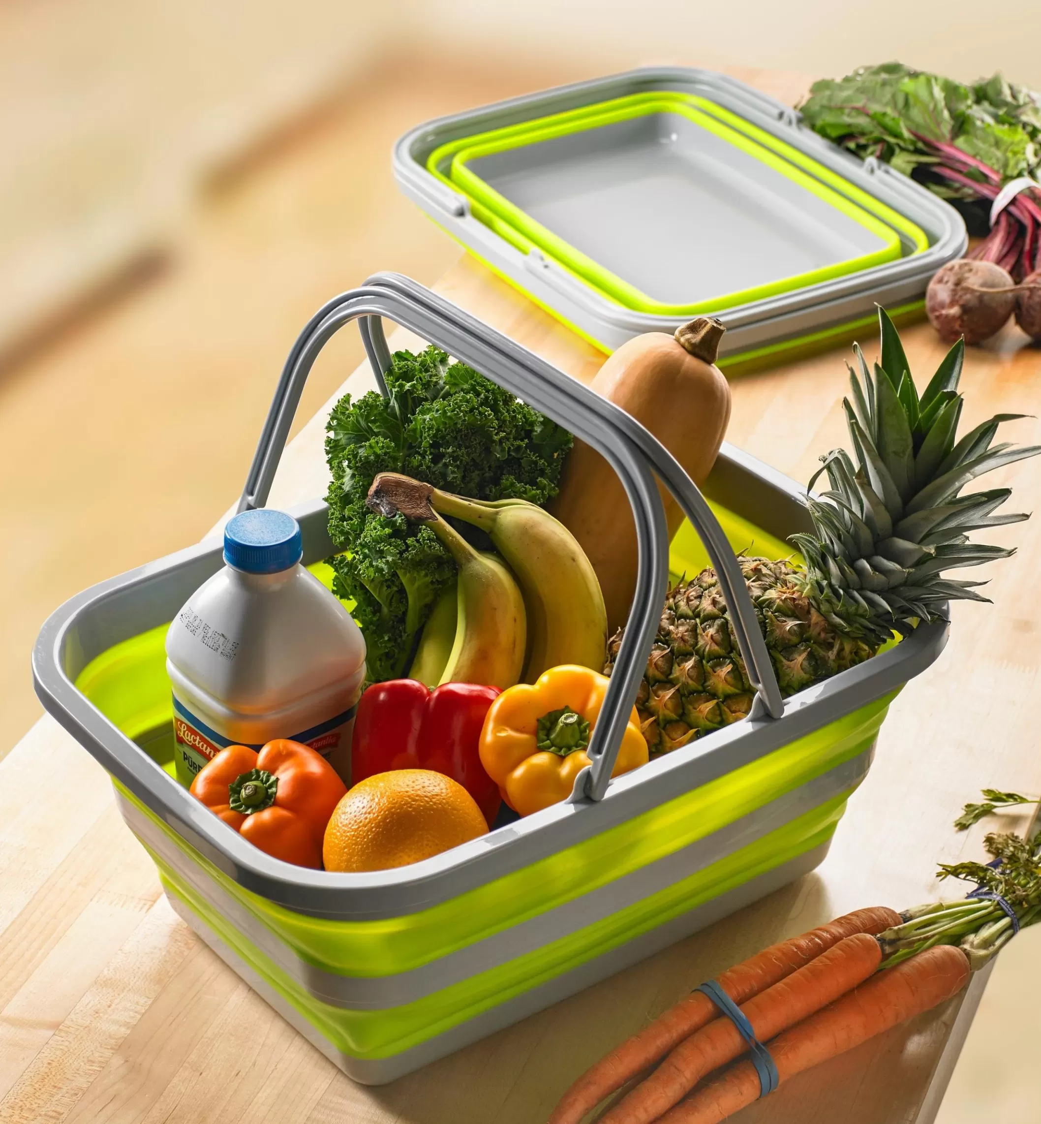 Shop Lee Valley Collapsible Tote
