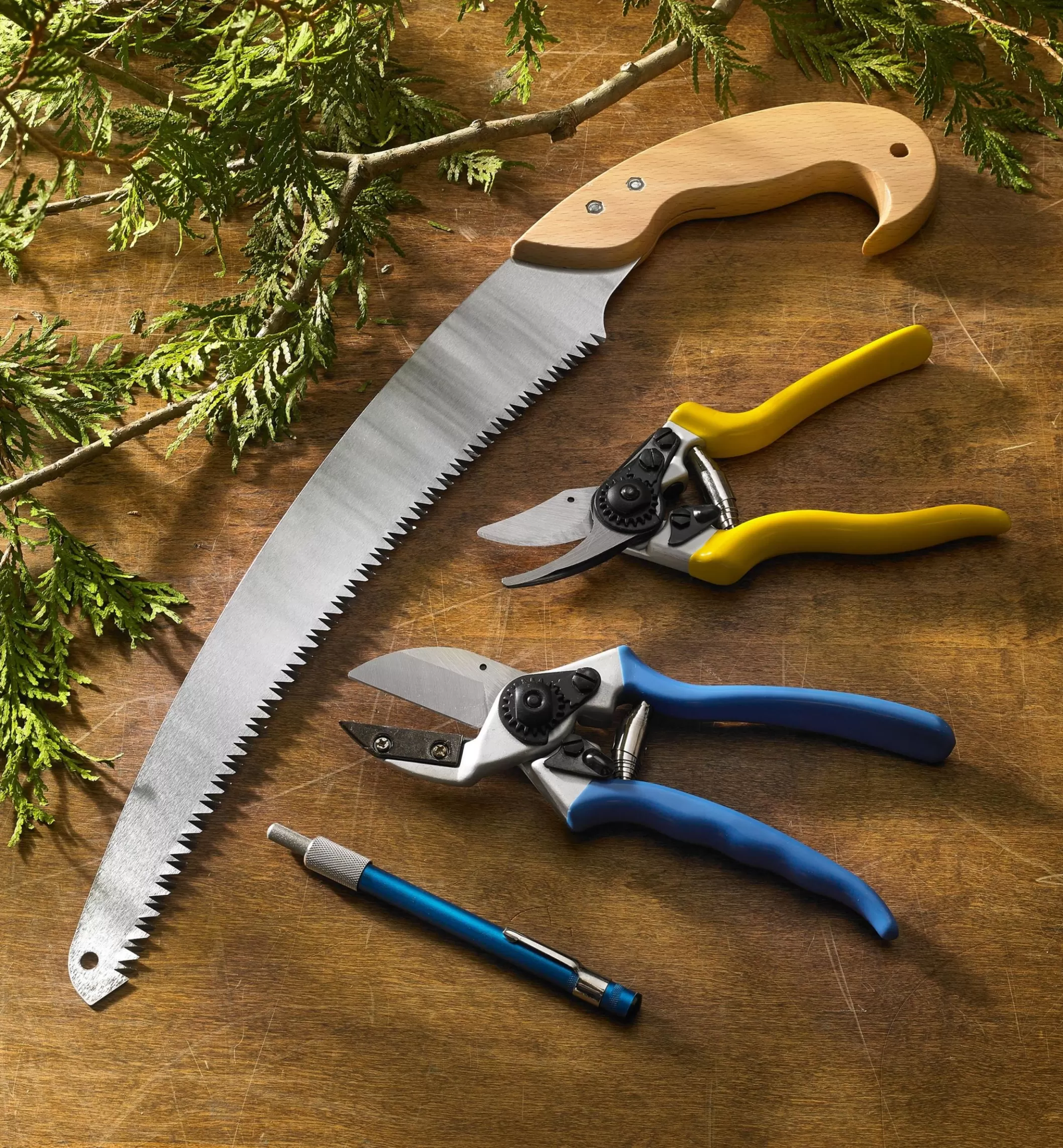 New Lee Valley Complete Pruning Kit