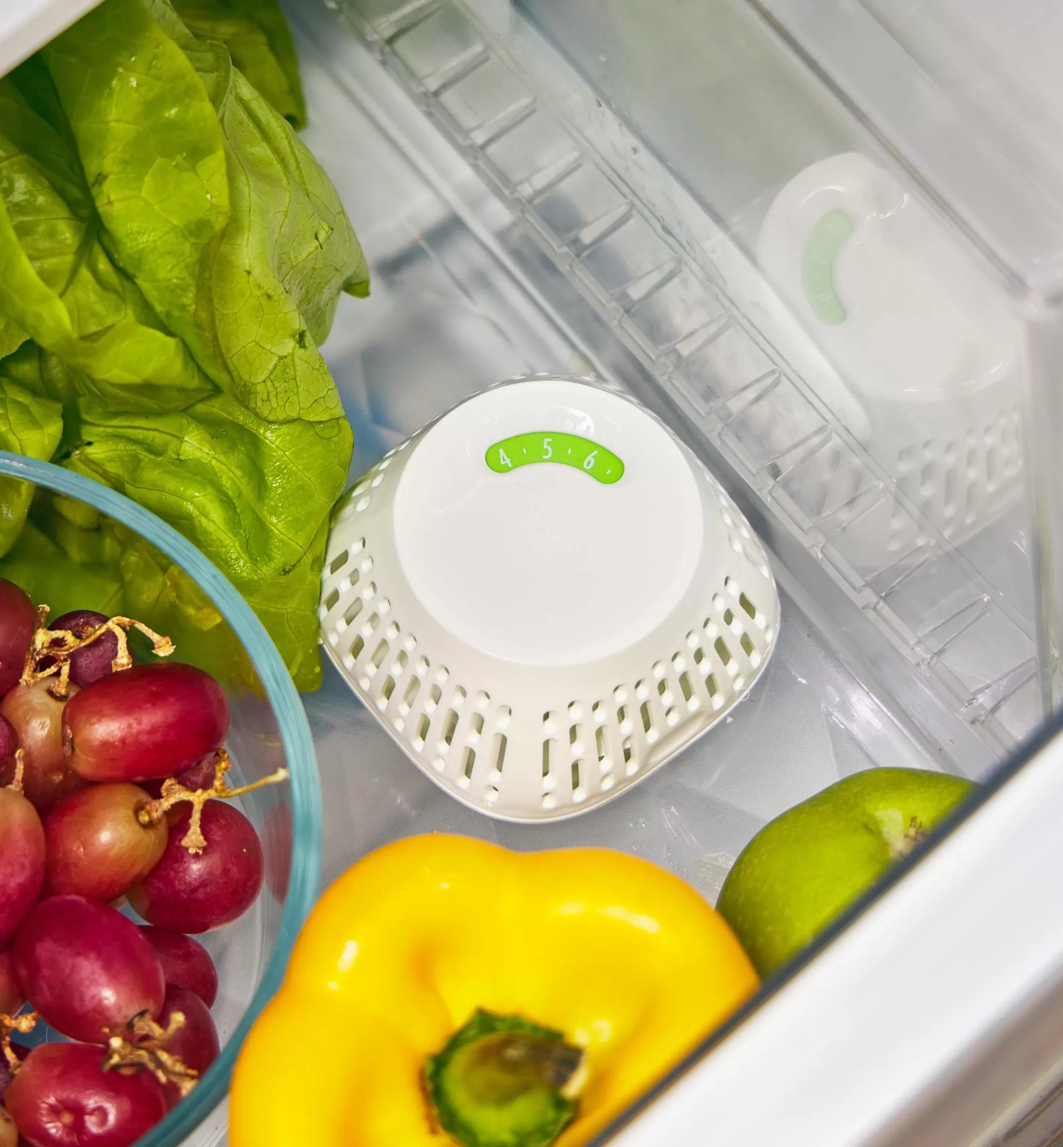Best Lee Valley Crisper Insert