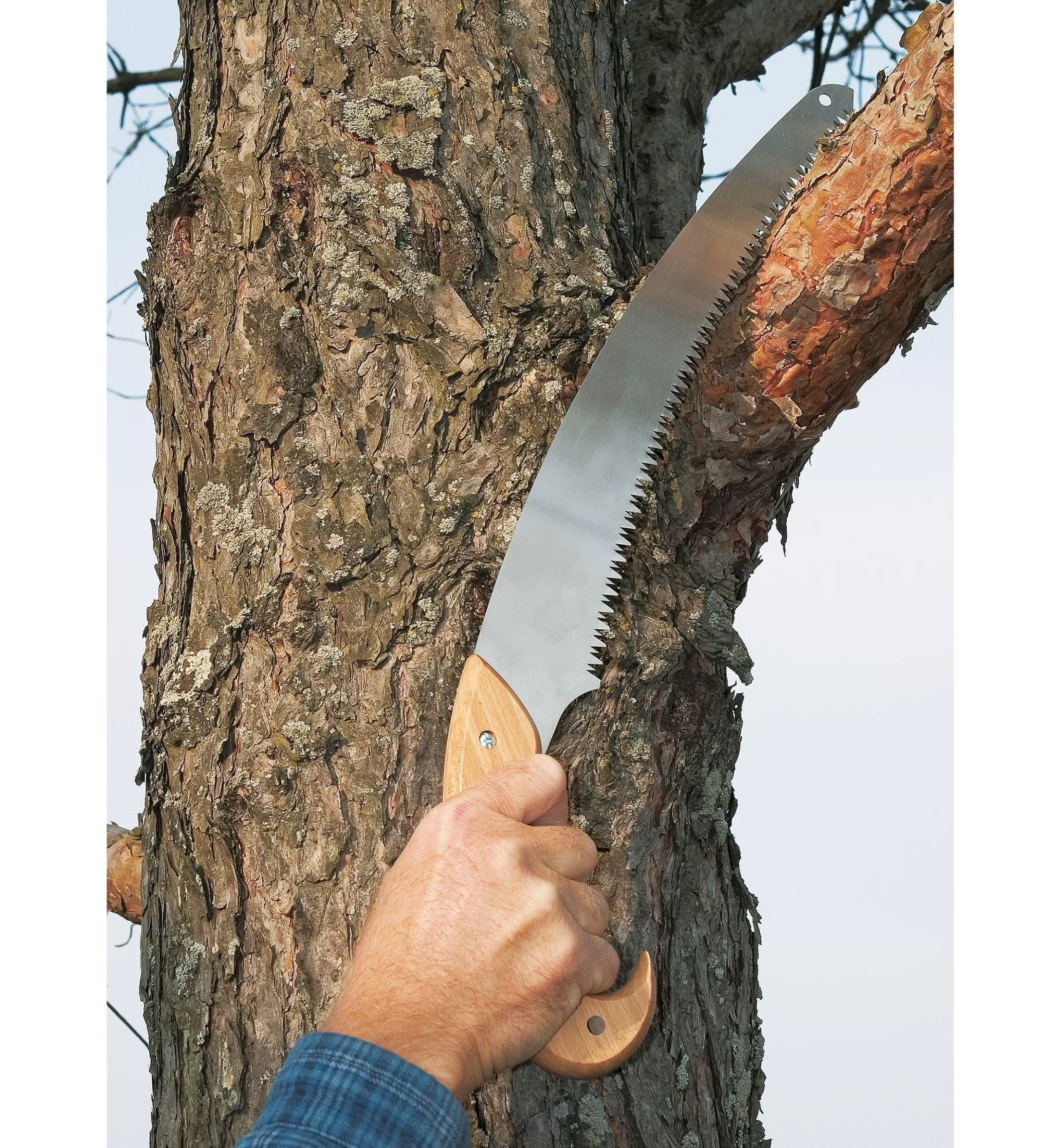 Fashion Lee Valley Curved Pruning Saw