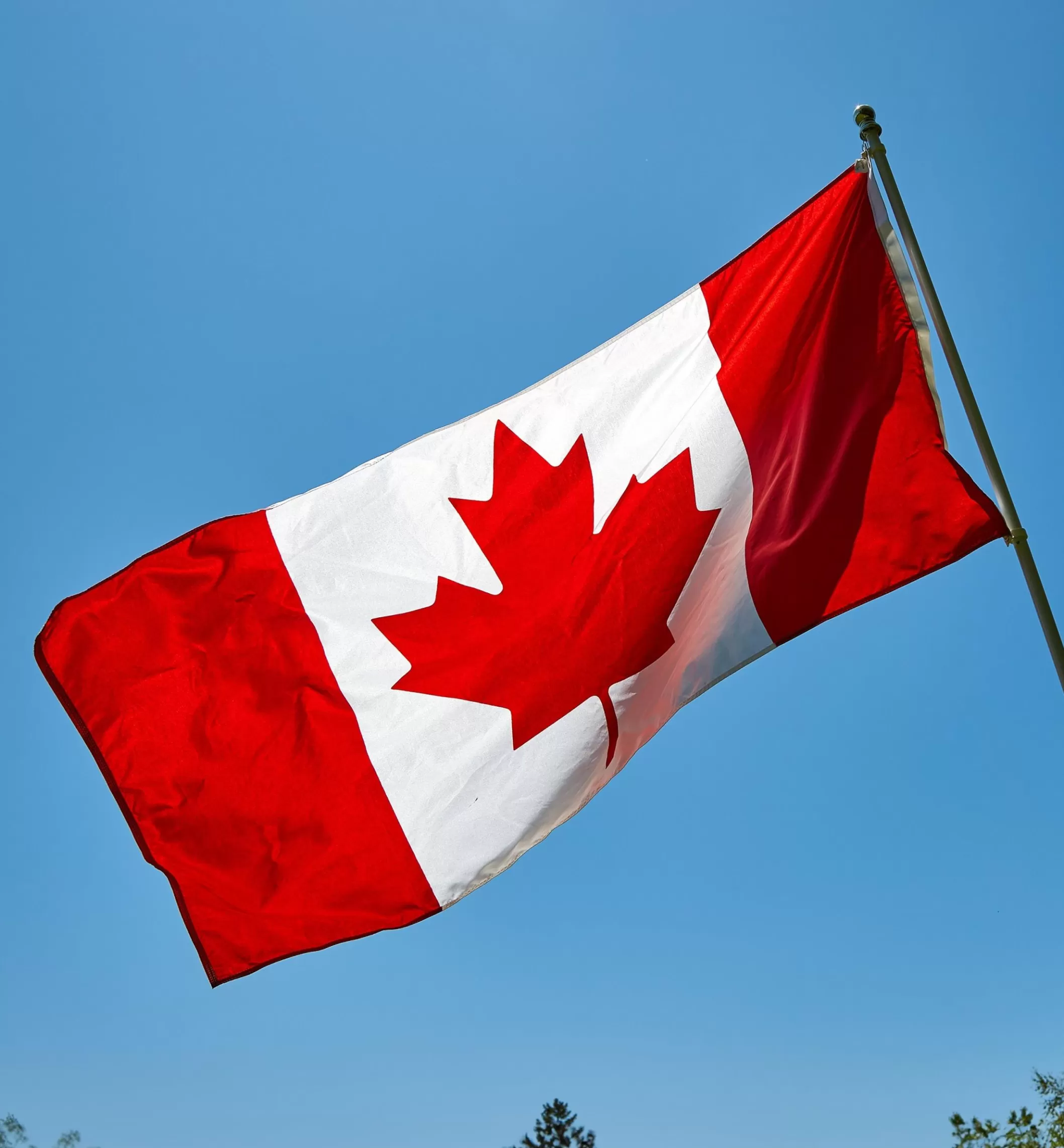 Best Lee Valley Deluxe Canadian Flag