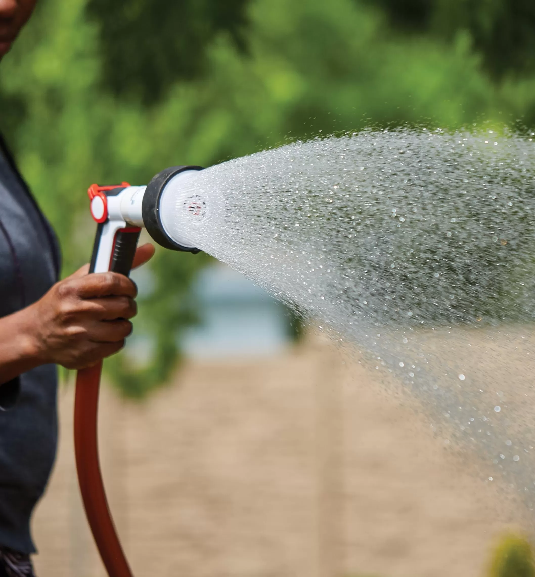 Store Lee Valley Large Shower Spray Nozzle