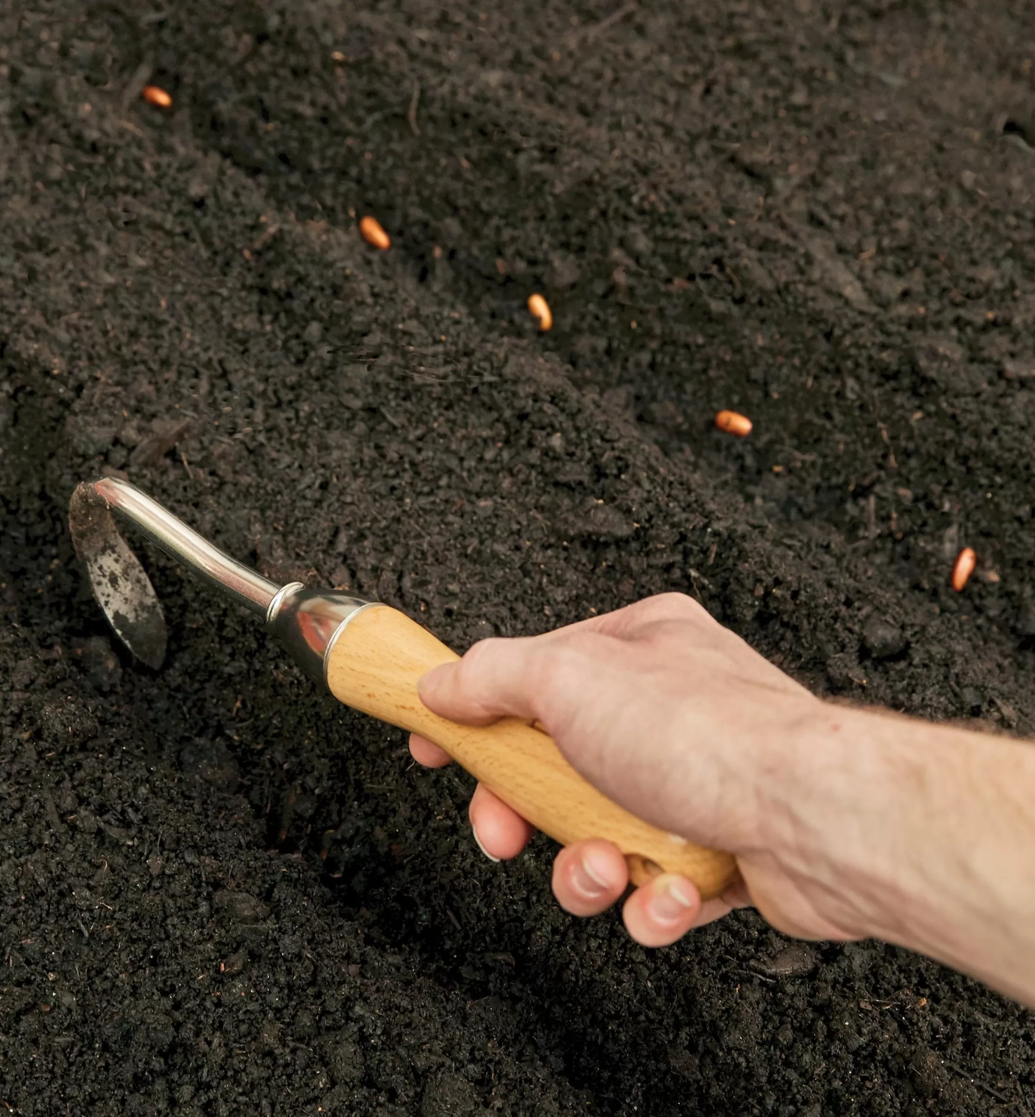 Best Sale Lee Valley One-Prong Cultivator
