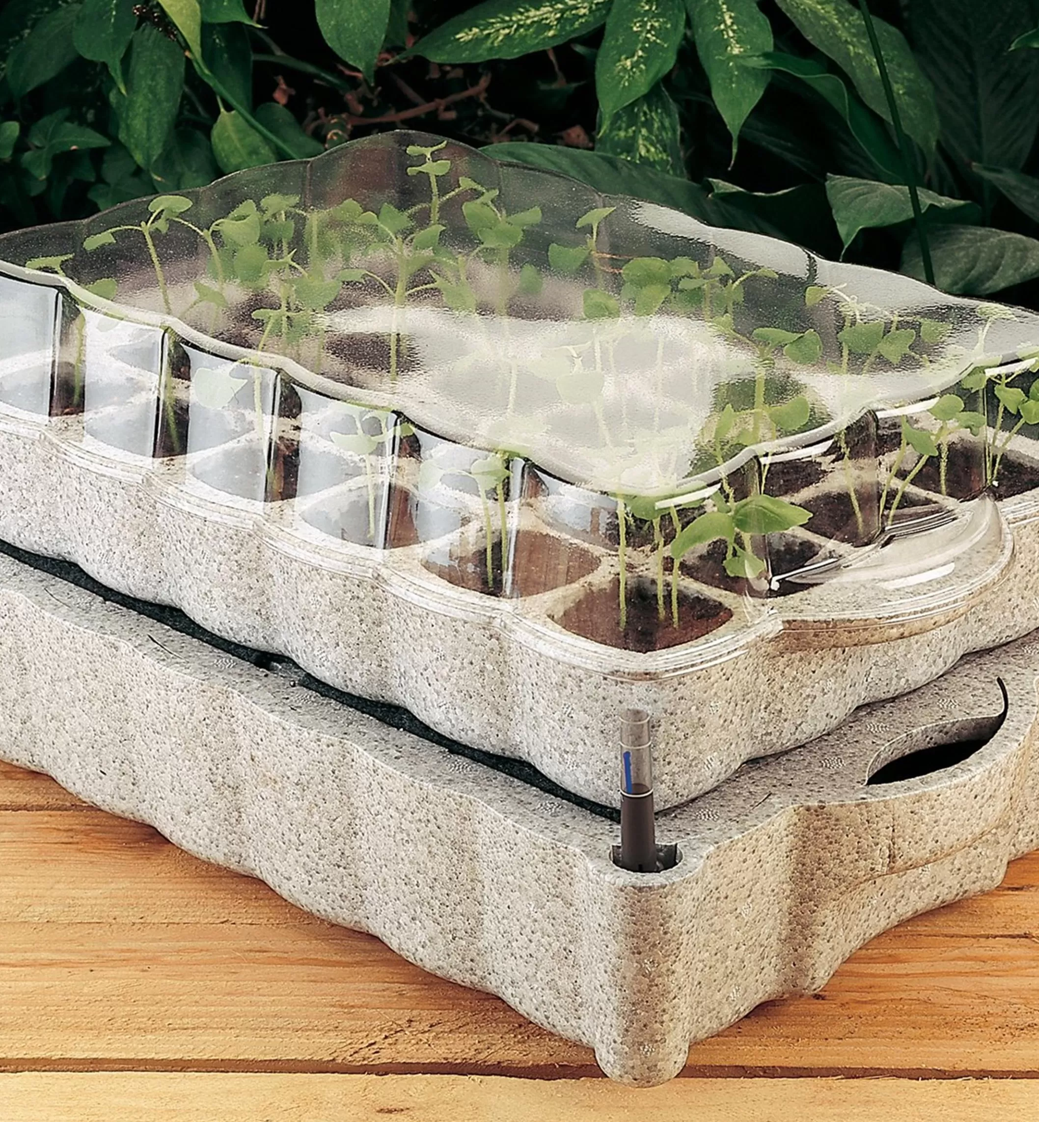 Outlet Lee Valley Self-Watering Seed Starter