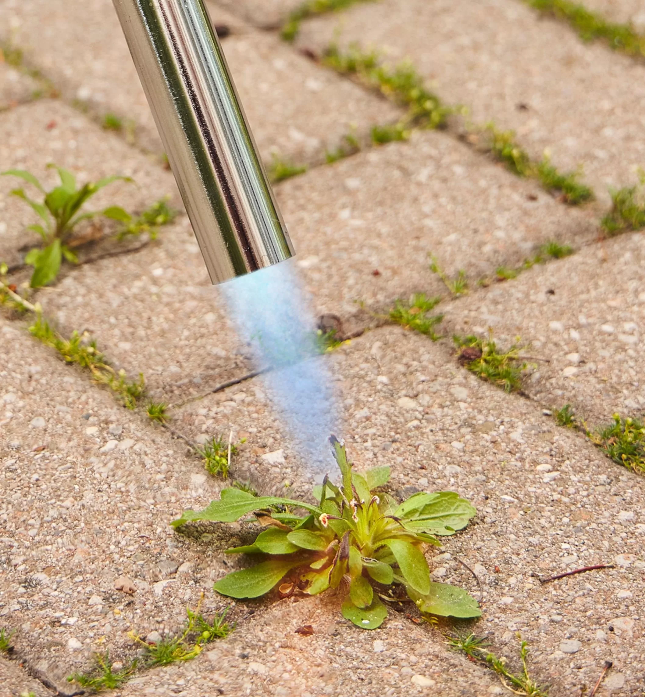 New Lee Valley Mini Weed Torch