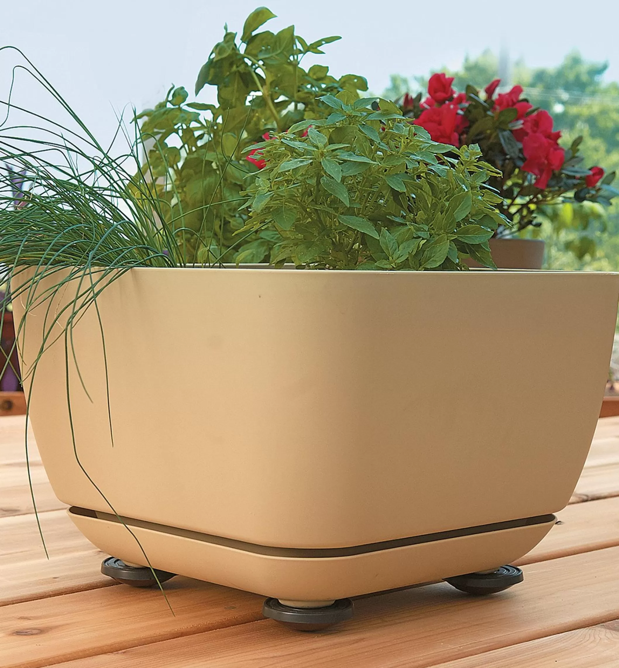 Best Lee Valley Pot Pads