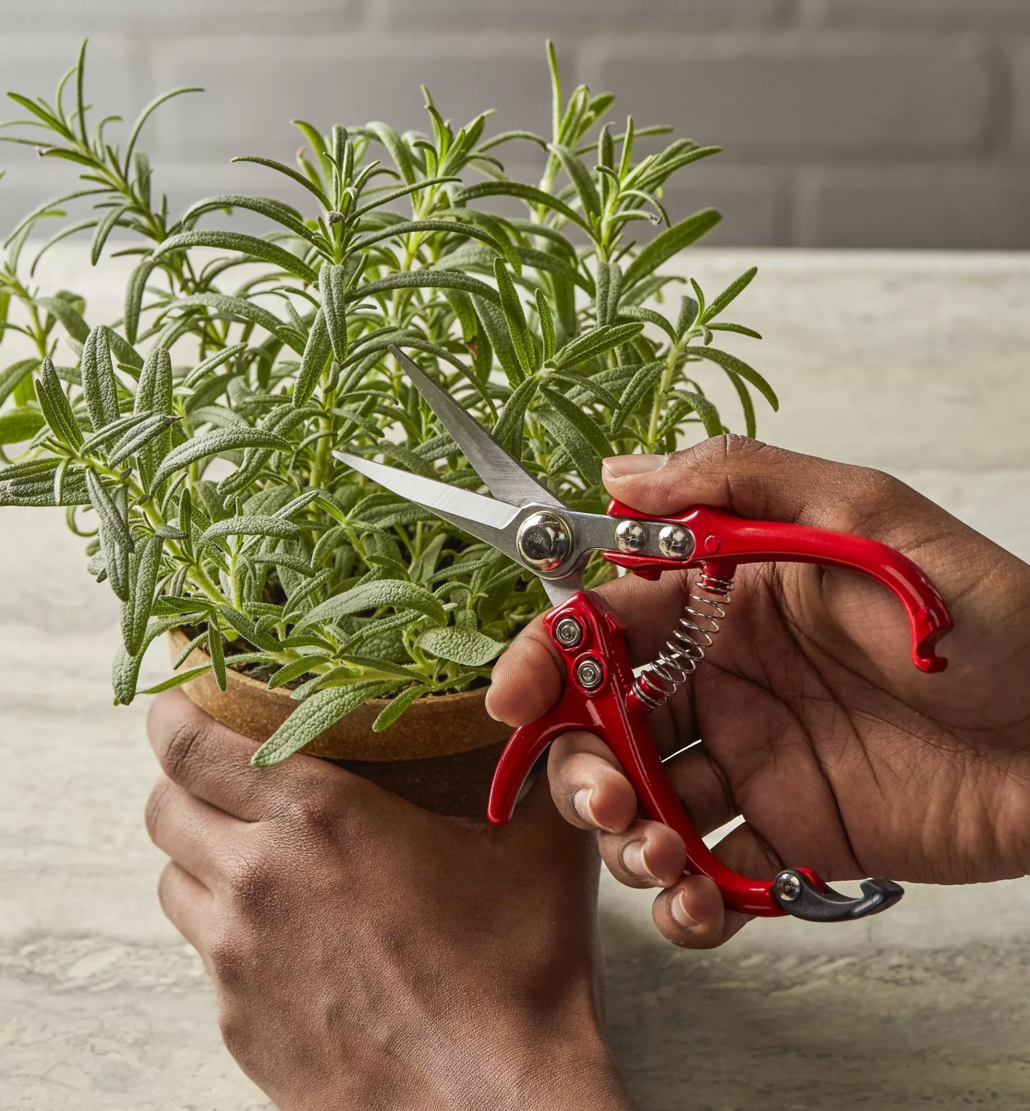 Best Sale Lee Valley Set Of 2 Mini Garden Shears