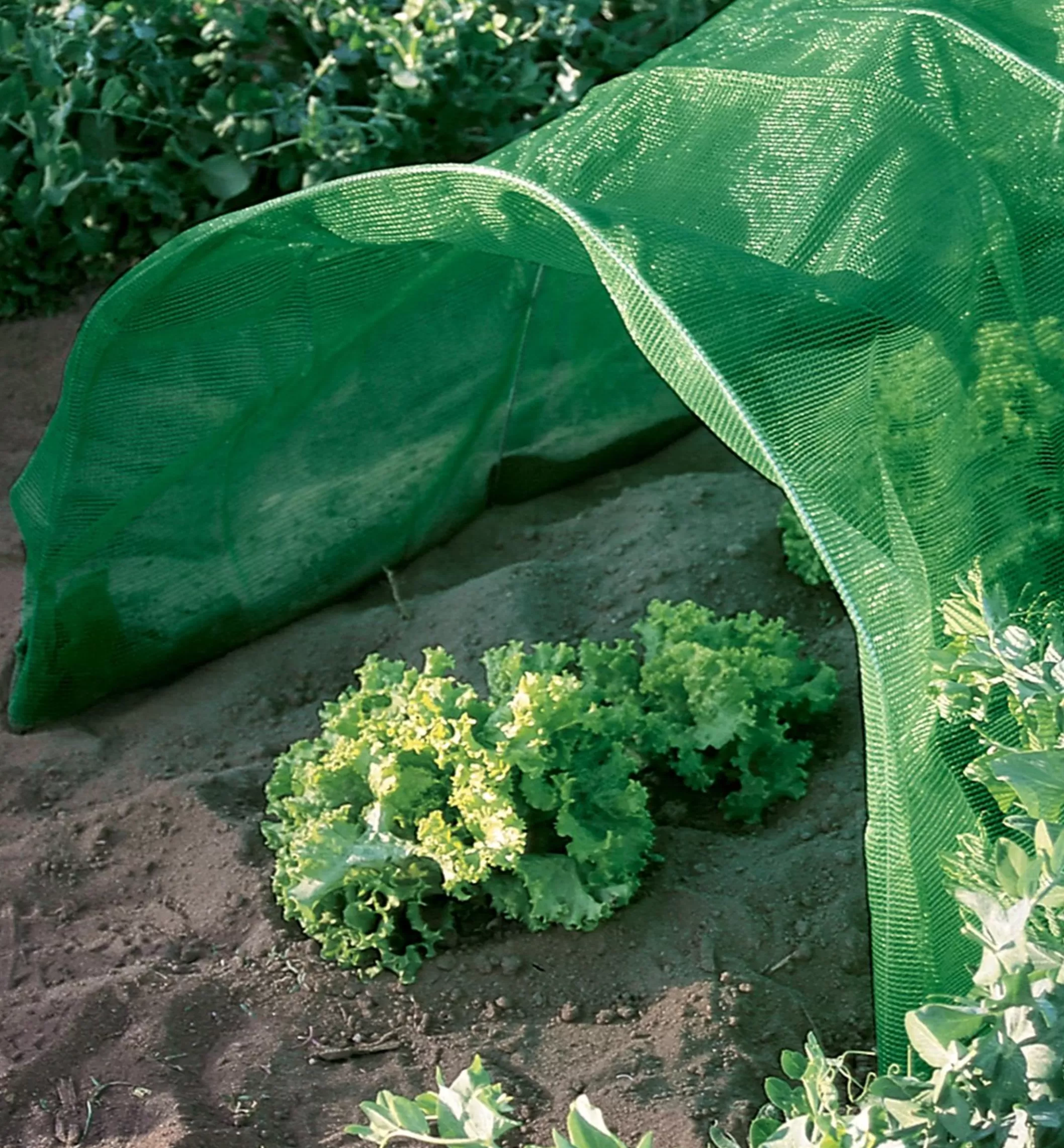 Shop Lee Valley Shade Cloth