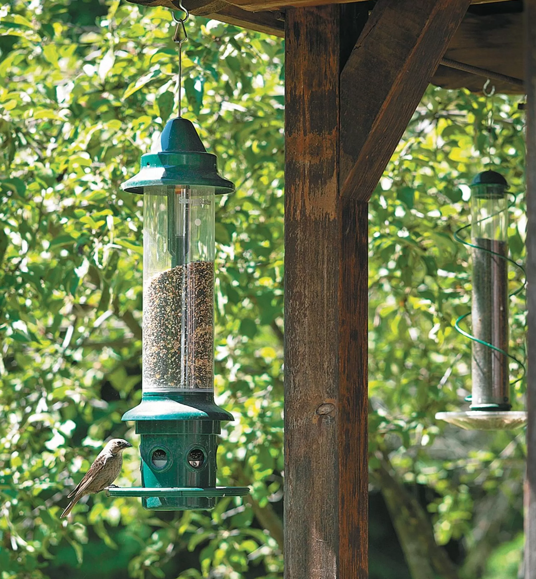 Fashion Lee Valley Squirrel Buster Plus Bird Feeder