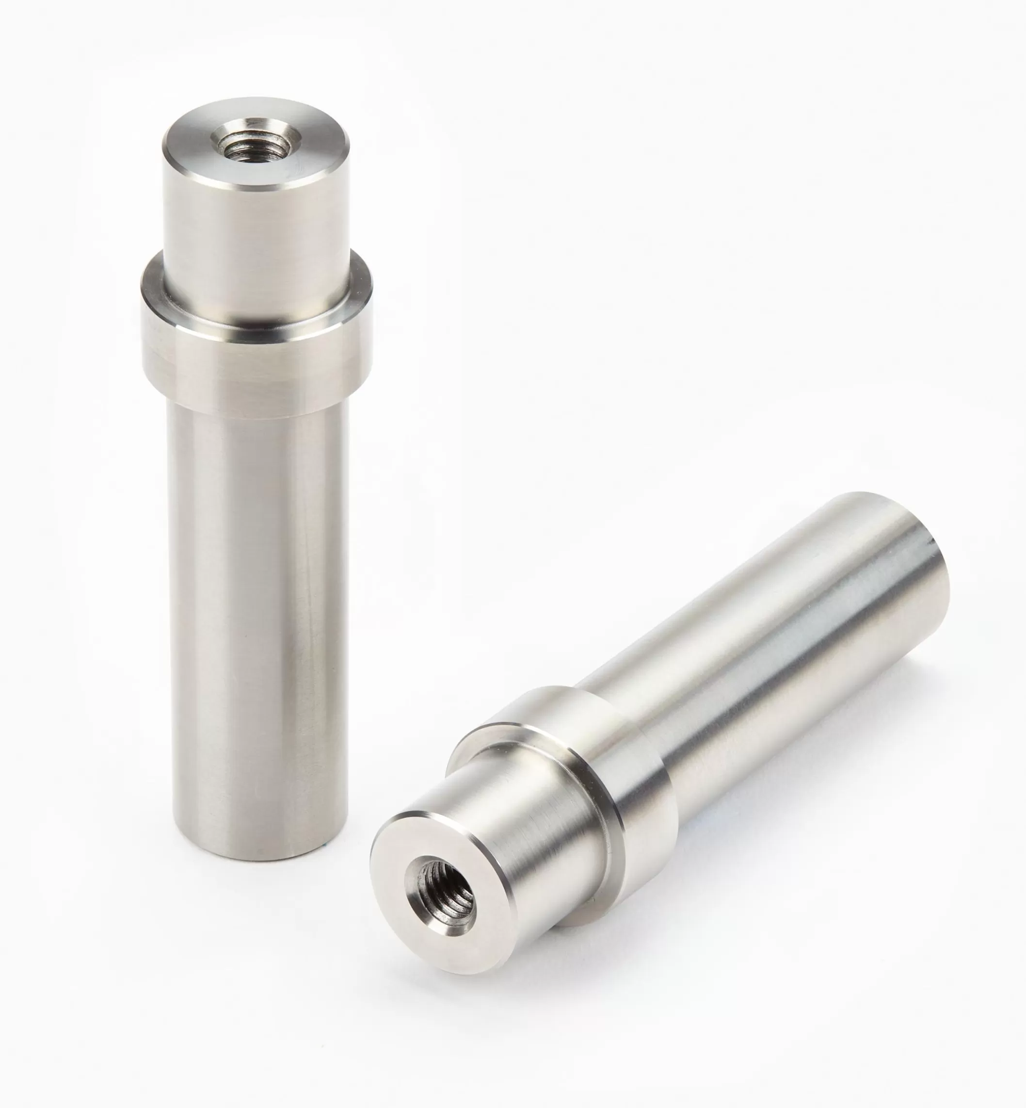 Store Lee Valley Stainless-Steel Parf Dogs By Veritas