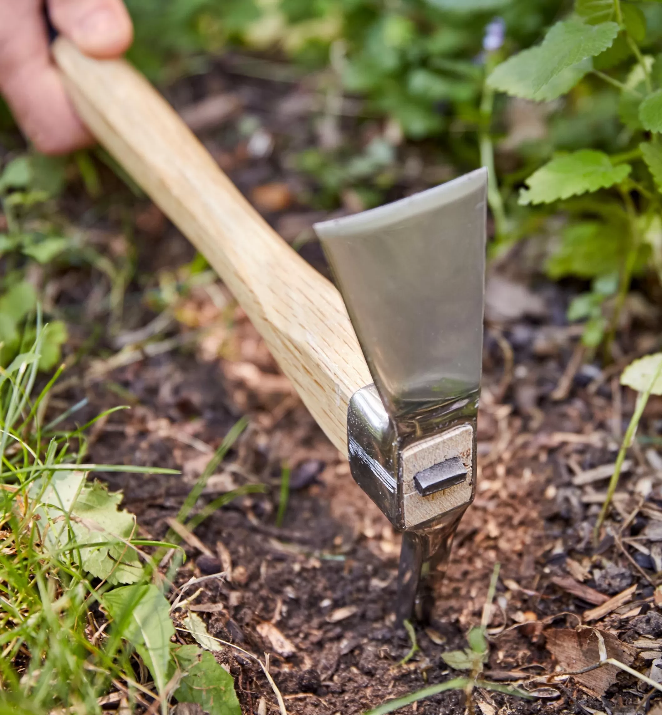 Discount Lee Valley Stainless-Steel Pick Mattock