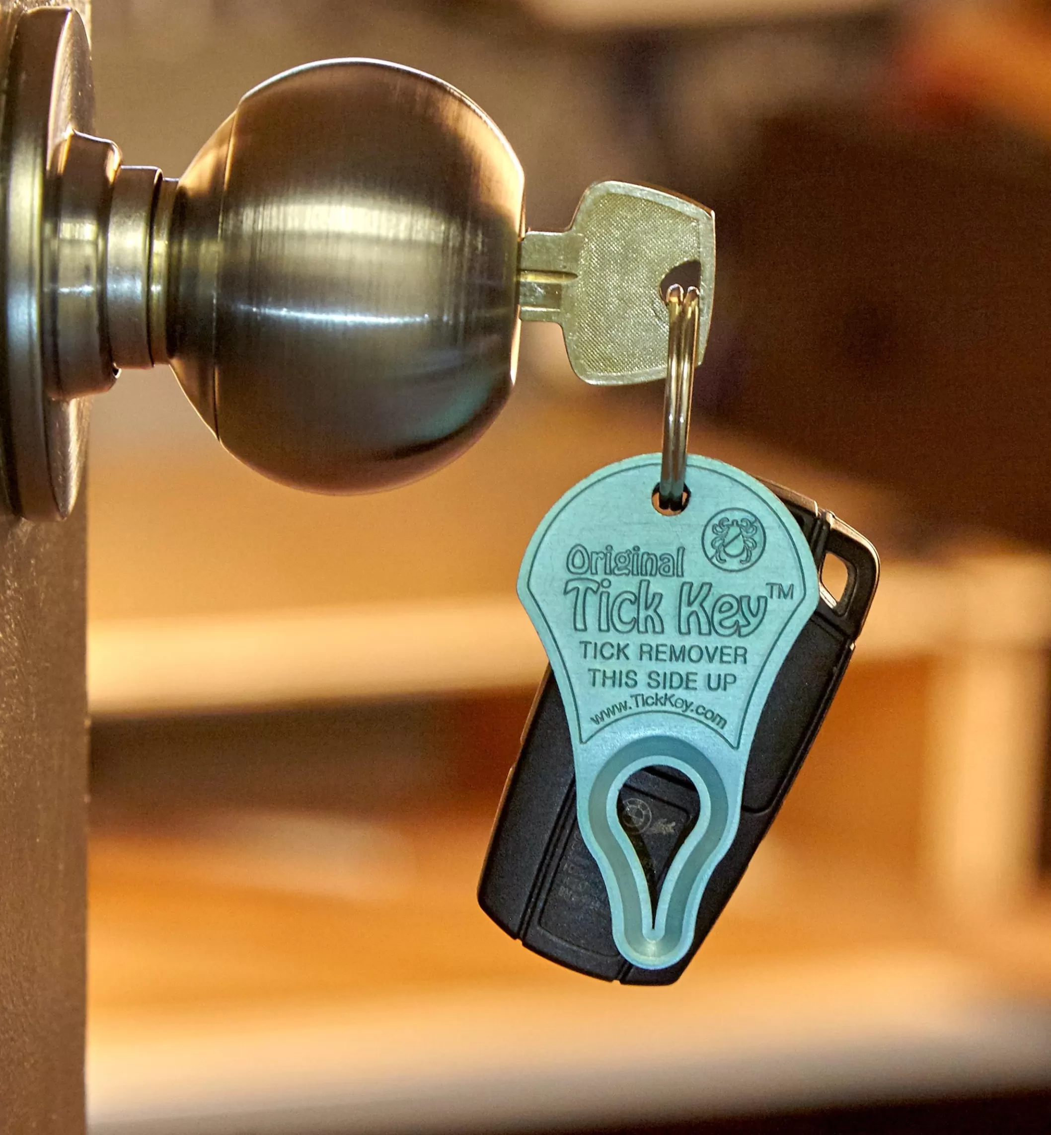 Shop Lee Valley Tick Key Tick Remover