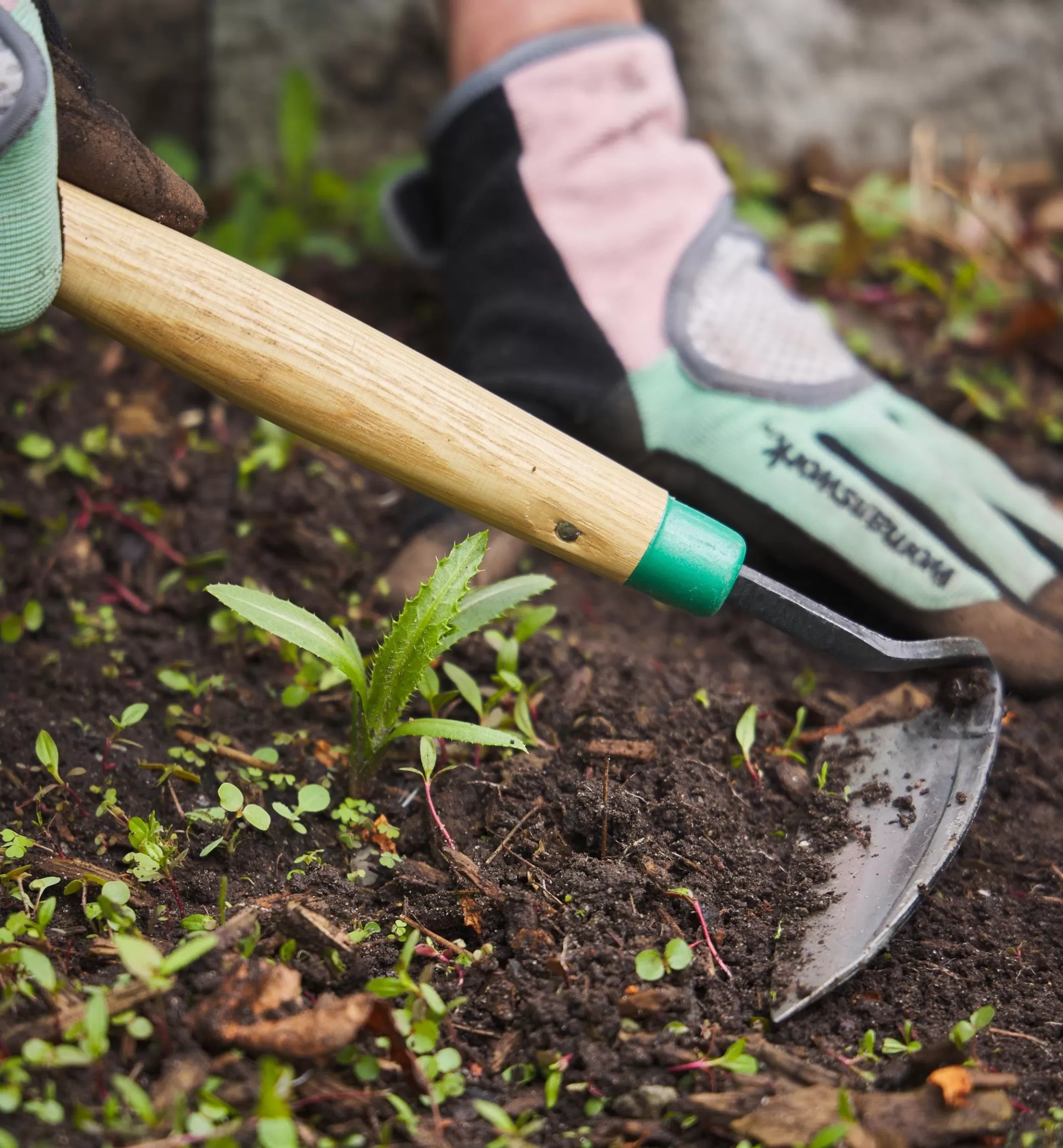 Discount Lee Valley Traditional Japanese Weeder