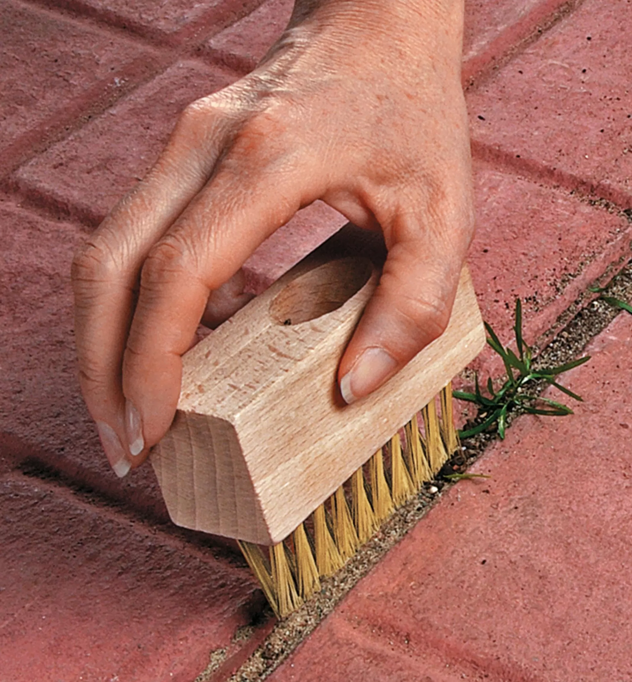 Clearance Lee Valley Weed Brush
